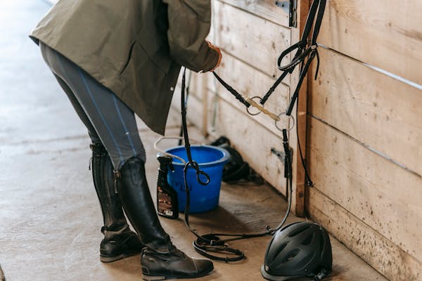 Stalomgeving met schoon hooi en stro om stof en schimmel te verminderen ter voorkoming van RAO bij paarden